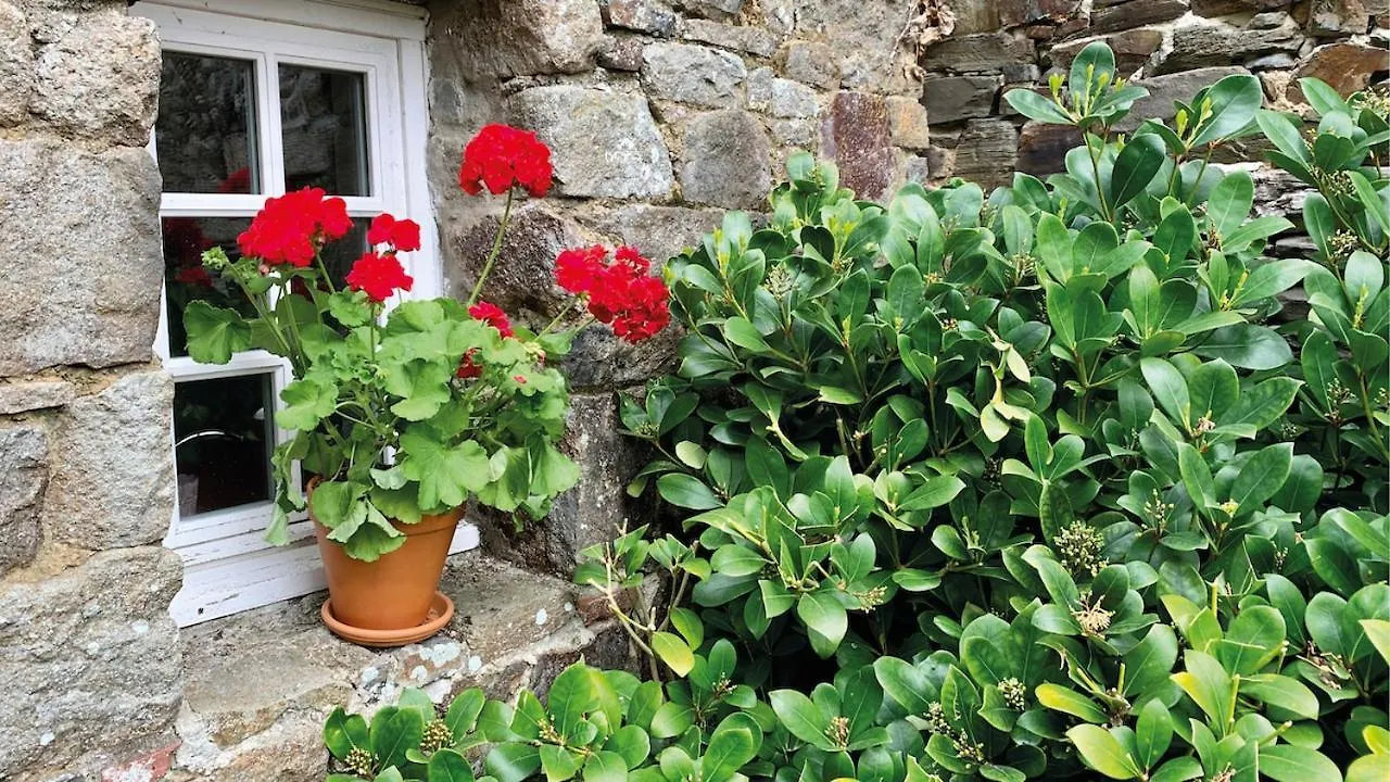 Hébergement de vacances Manoir de la Bégaudière Mont-Dol France